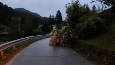 Veter podiral drevesa in odkrival strehe 2